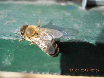 rsz_dscn2526.jpg