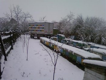 Fotografii-0026 (Medium).jpg