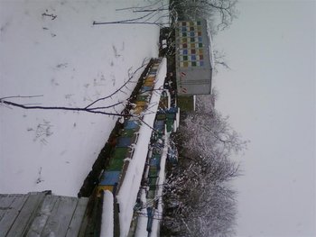 Fotografii-0025 (Medium).jpg