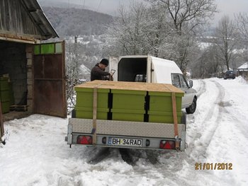 IMG_2958.JPG