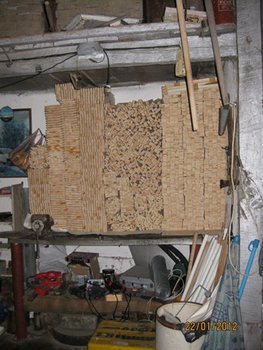 IMG_2972.JPG