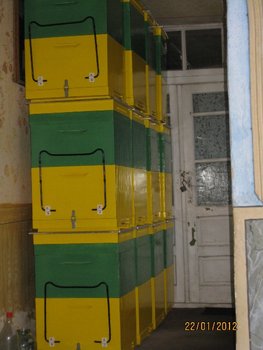 IMG_2974.JPG