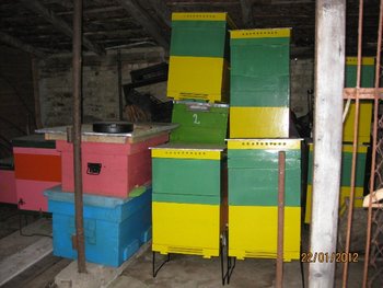 IMG_2977.JPG