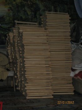 IMG_2970.JPG