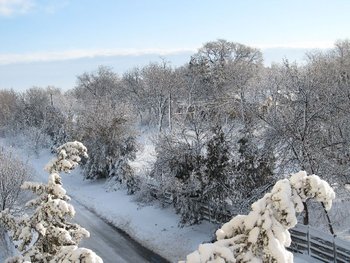 prima zapada 006-4.jpg
