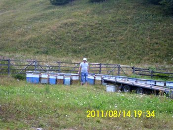 IMG_0677 (Medium) (2).JPG