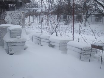 DSCF5687.JPG