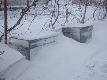 DSCF5685.JPG