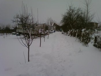 Fotografii-0031 (Medium).jpg