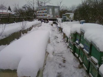 Fotografii-0032 (Medium).jpg