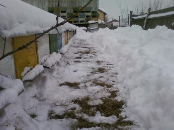 Fotografii-0034 (Medium).jpg