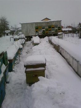 Fotografii-0035 (Medium).jpg