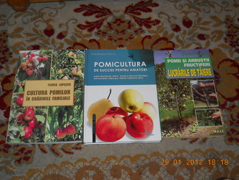 rsz_dscn2553.jpg