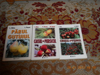 rsz_dscn2555.jpg