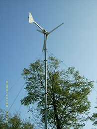 DSCI0662.JPG