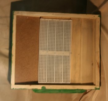 Colector_polen_l_4cfe49475eaa8.jpg