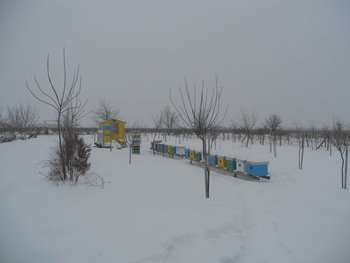 DSCN1240 (1024 x 768).jpg