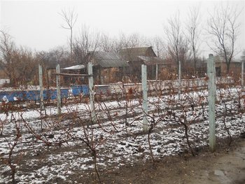 DSCN0109 (Medium).jpg