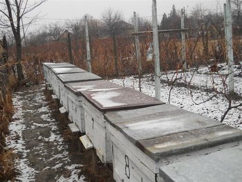 DSCN0112 (Medium).jpg