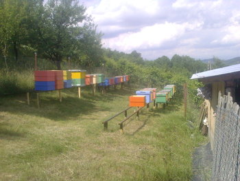 59.jpg (158.25 KiB) Vizualizat de 8776 ori 59.jpg
