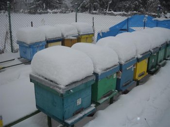 DSCN3581 (Medium).jpg