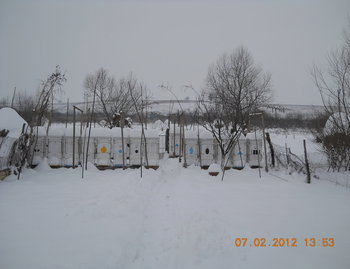 rsz_4dscn2577.jpg