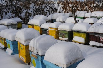 DSC_9215.jpg