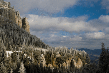IMG_2714.gif