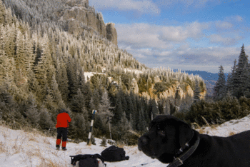 IMG_2725_1.gif