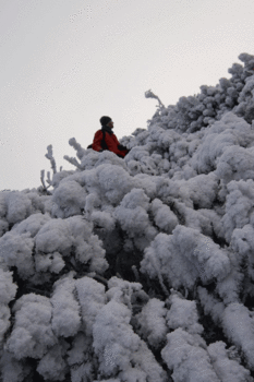 IMG_2750.gif