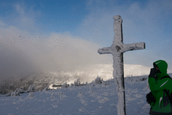 IMG_2790.gif