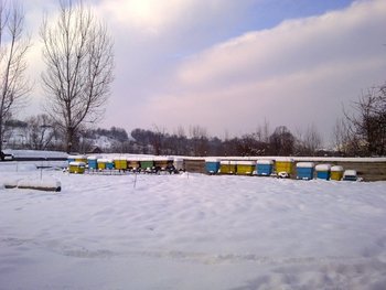 20091.jpg