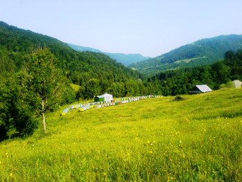 2011-12.JPG
