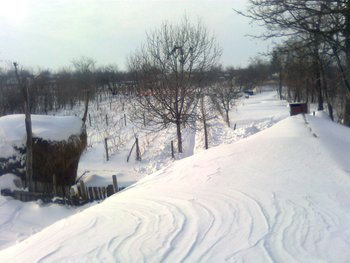 Imagine1187.jpg