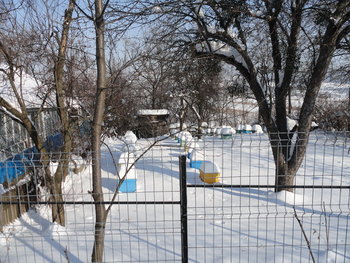 DSC01584-C.jpg