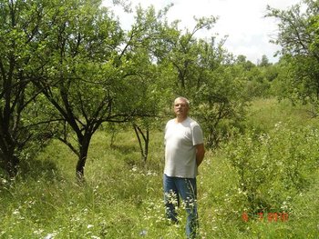 Copie de pajistea_in_zaua_ei (Small).JPG