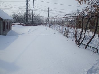 DSCF5822.JPG