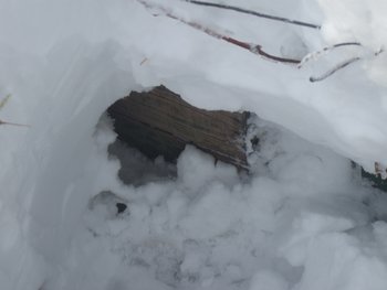DSCF5828.JPG
