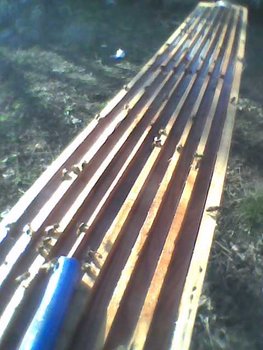 Imag0011.jpg