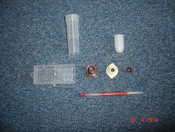 nicot (Small).JPG