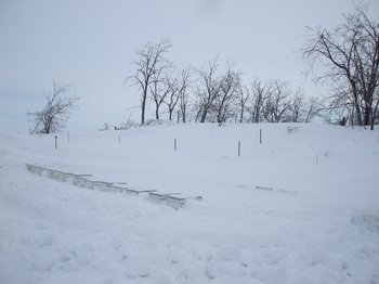 DSCF5849.JPG