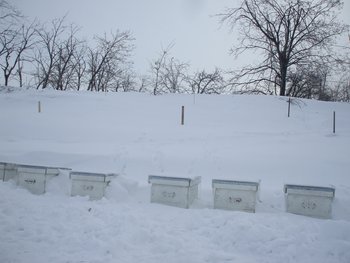 DSCF5855.JPG