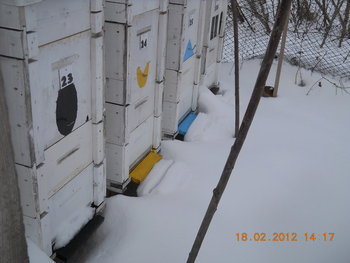 rsz_dscn2589.jpg
