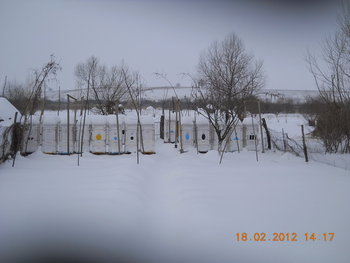 rsz_dscn2588.jpg