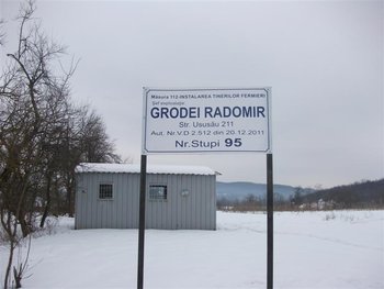 DSCF7364 (Medium).JPG