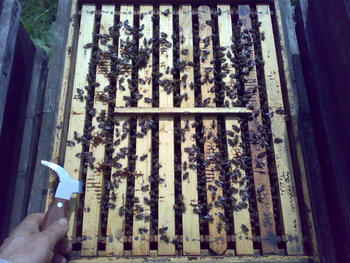060420111502.jpg