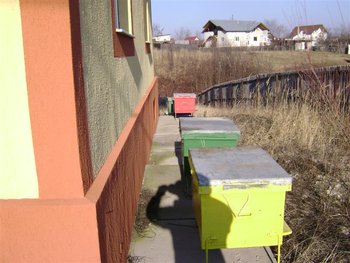 DSC01281 (Medium).JPG (89.38 KiB) Vizualizat de 1641 ori DSC01281 (Medium).JPG