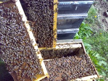 060420111504.jpg