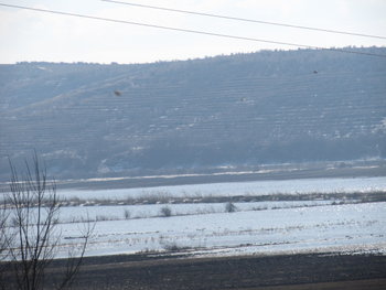 zbor de curatire feb. 2012 030.jpg