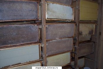 ok_21363[1].jpg